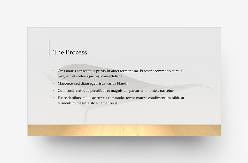 Gallery Theme - Variant 2 - Blended Background Image with Bullets