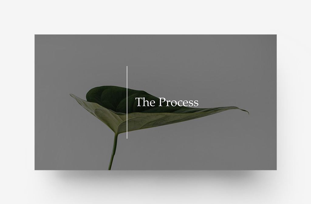 Gallery Theme - Variant 2 - Contrast Section Title